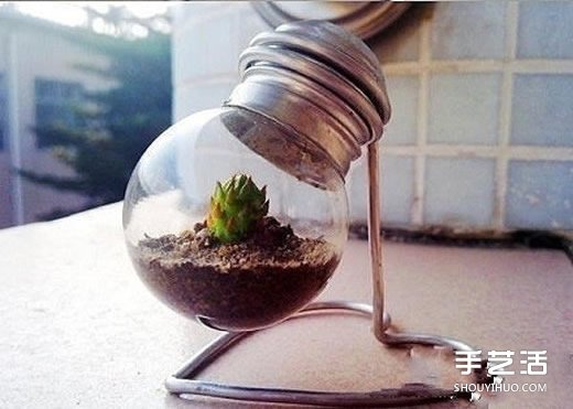 废灯泡创意diy 制作迷你多肉植物盆景的教程